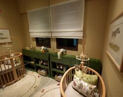 Dunearn Road (D11), Condominium #590784341